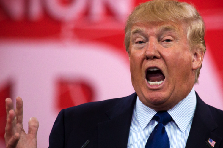 Donald Trump (Credit: Jeff Malet, maletphoto.com) Salon.com